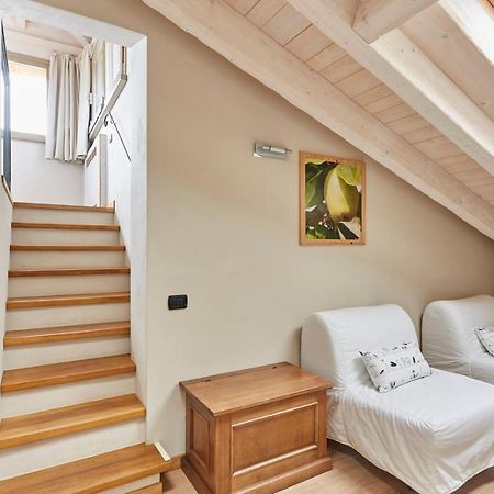 Agriturismo Alba Del Borgo 피덴차 외부 사진