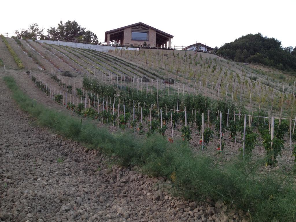 Agriturismo Alba Del Borgo 피덴차 외부 사진