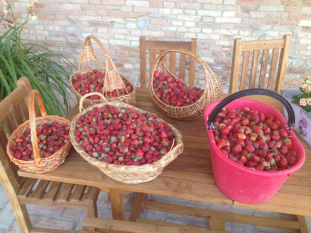 Agriturismo Alba Del Borgo 피덴차 외부 사진