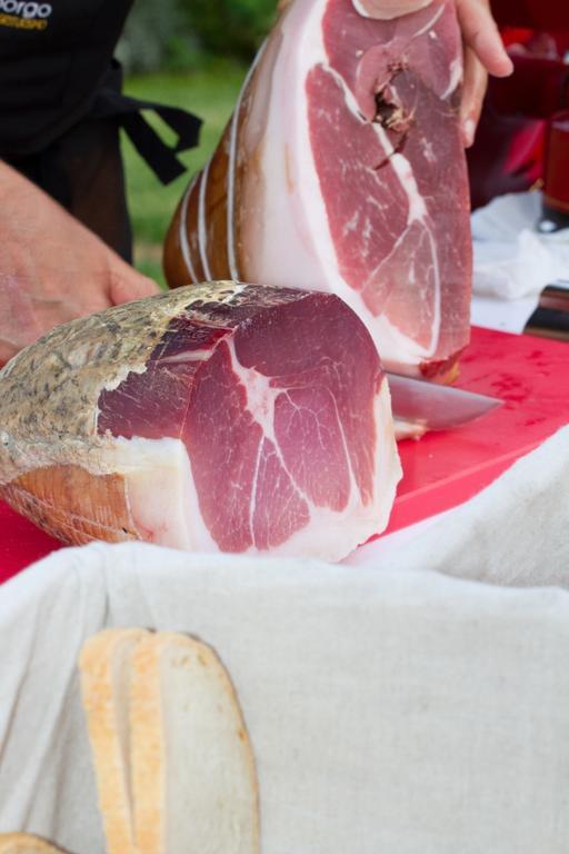 Agriturismo Alba Del Borgo 피덴차 외부 사진