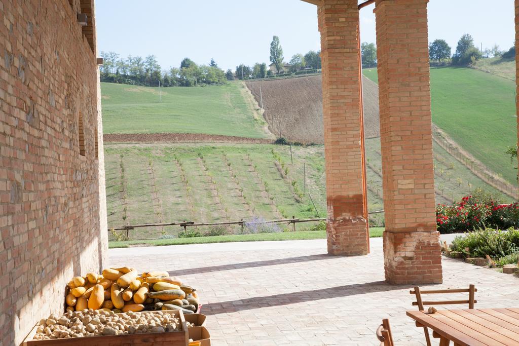 Agriturismo Alba Del Borgo 피덴차 외부 사진